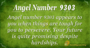 Angel number 9303