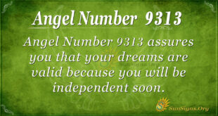 9313 angel number