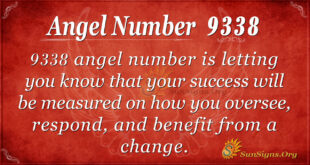 9338 angel number