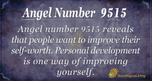 Angel number 9515