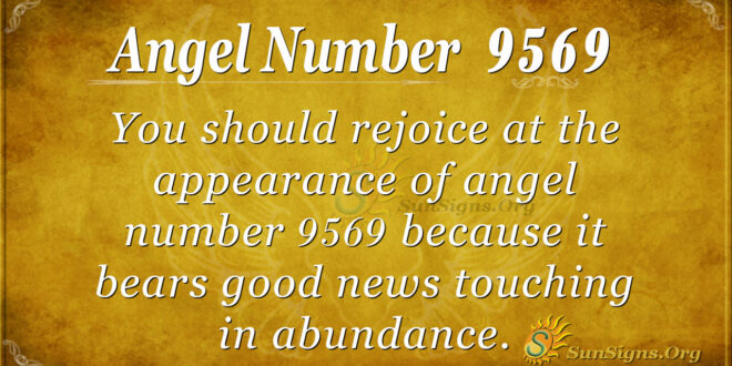 9569 angel number