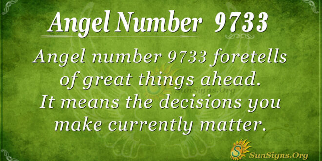 9733 angel number