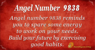 9838 angel number