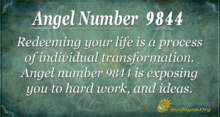 Angel number 9844