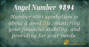 Angel number 9894