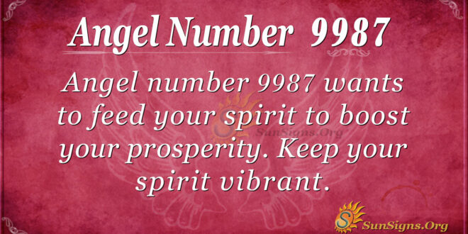 9987 angel number