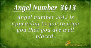 3613 angel number