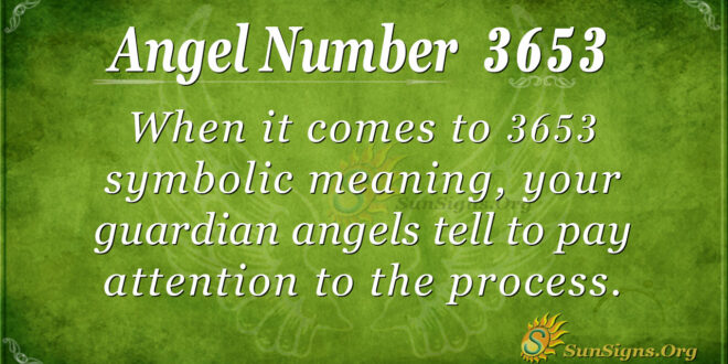 3653 angel number