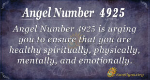 4925 angel number