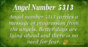 5313 angel number