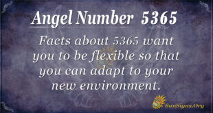 5365 angel number