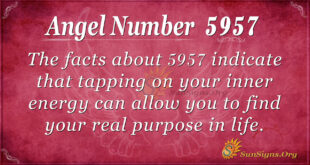 5957 angel number