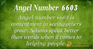 Angel Number 6603