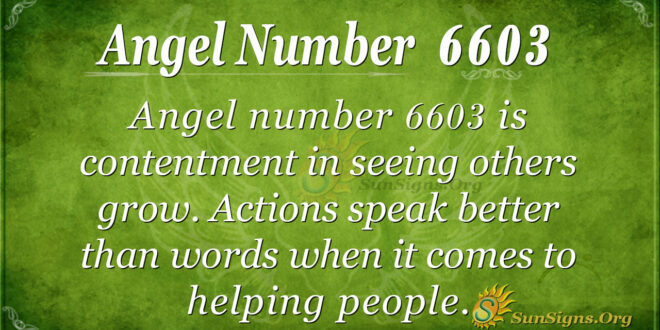 Angel Number 6603