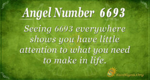 Angel Number 6693