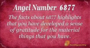 6877 angel number