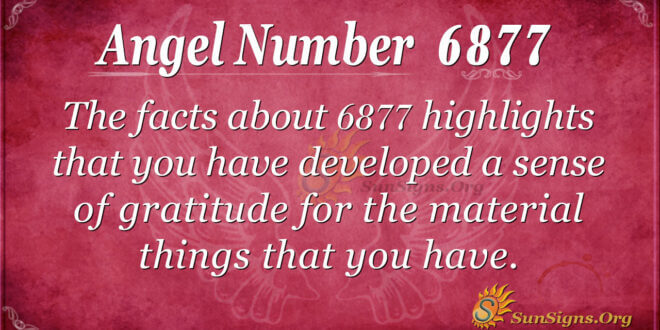 6877 angel number