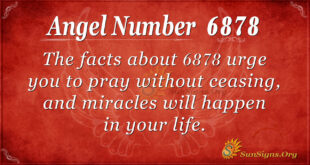 6878 angel number