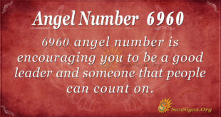 Angel Number 6960