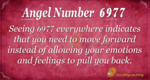 6977 angel number