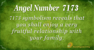 7173 angel number