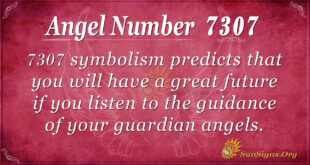 7307 angel number