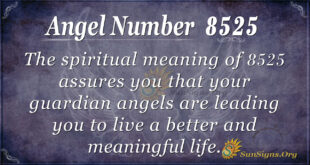 8525 angel number