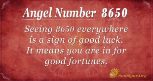 8650 angel number