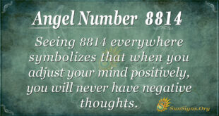 8814 angel number