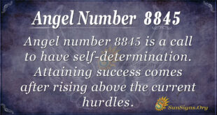 Angel Number 8845