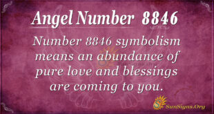 Angel Number 8846