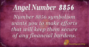 Angel Number 8856