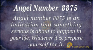 angel number 8875