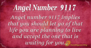 9117 angel number