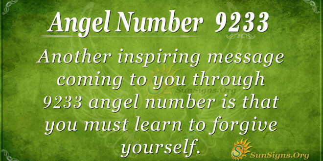 9233 angel number