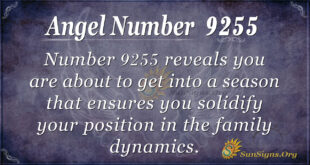 Angel number 9255