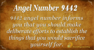 9442 angel number