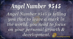 Angel Number 9545