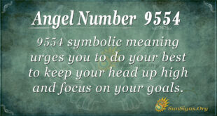 9554 angel number