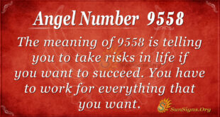 Angel Number9558