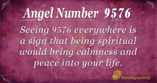 Angel Number 9576