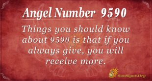 9590 angel number