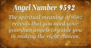 Angel Number 9592
