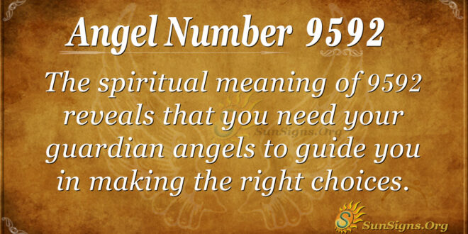 Angel Number 9592