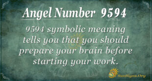 9594 angel number