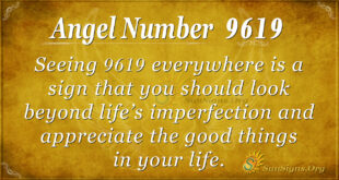 9619 angel number