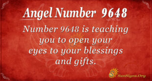 Angel Number 9648