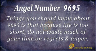 9695 angel number