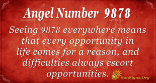 9878 angel number