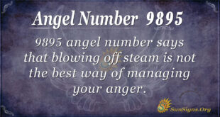 9895 angel number